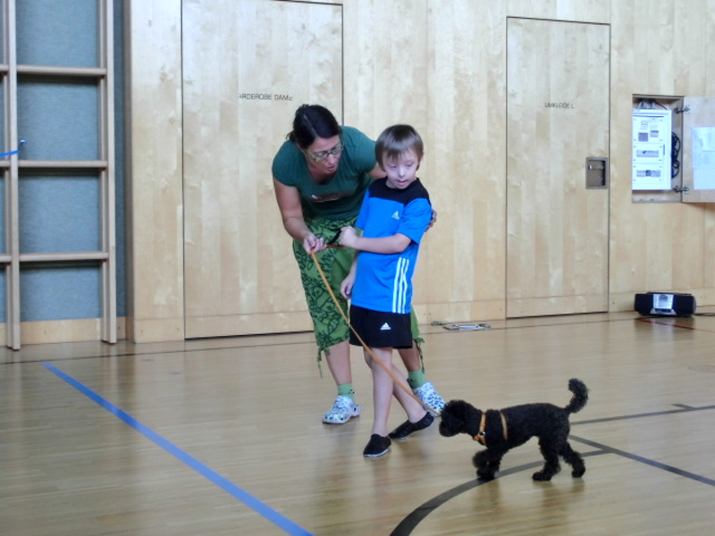 ./custom/gui/fileupload/images/fotogalerie/therapiehund/Therapiehund 2.jpg